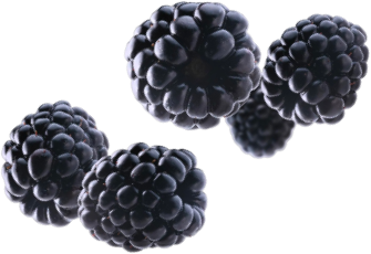 Moras