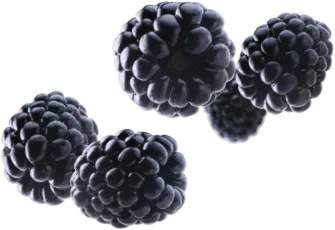 Moras